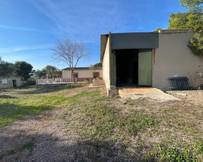 Venta - Finca / Country Property - Aspe