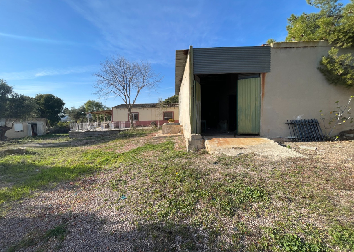 Venta - Finca / Country Property - Aspe
