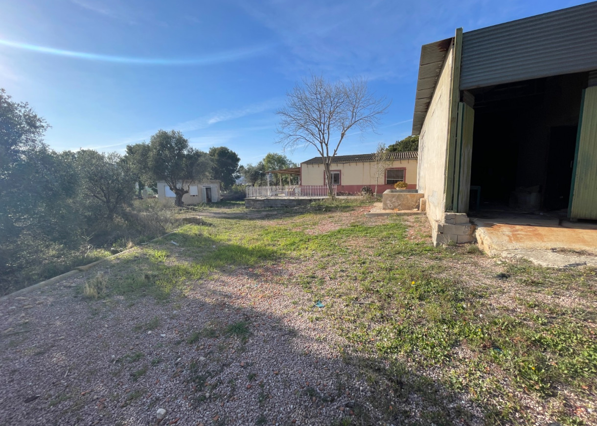 Venta - Finca / Country Property - Aspe