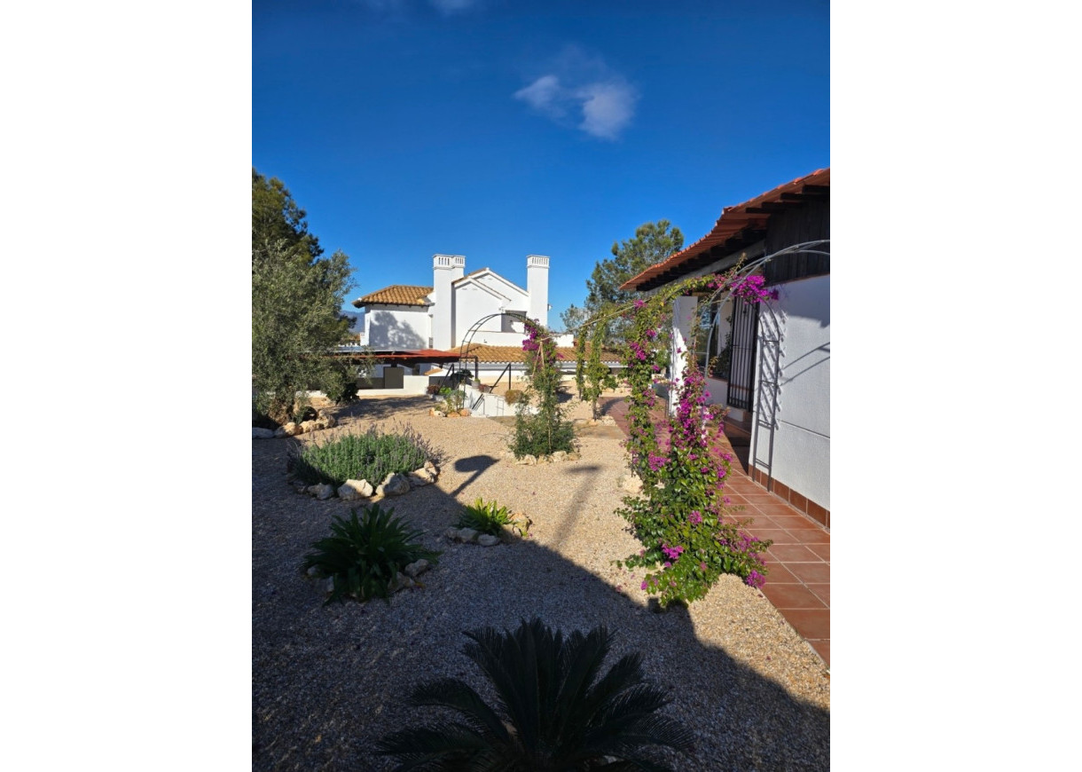 Resale - Villa - Fuente Alamo - Las Palas