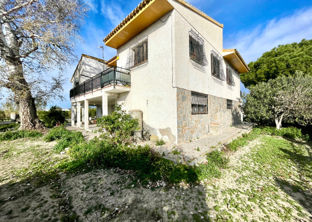Resale - Villa - Benejuzar - Comunidad Valenciana
