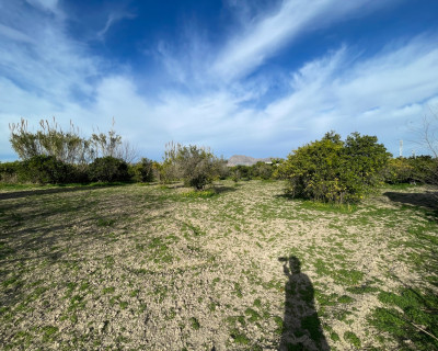 Resale - Villa - Benejuzar - Comunidad Valenciana