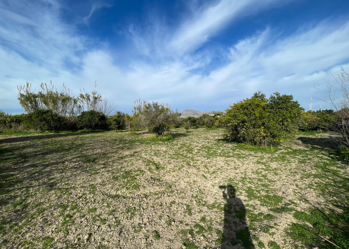 Resale - Villa - Benejuzar - Comunidad Valenciana