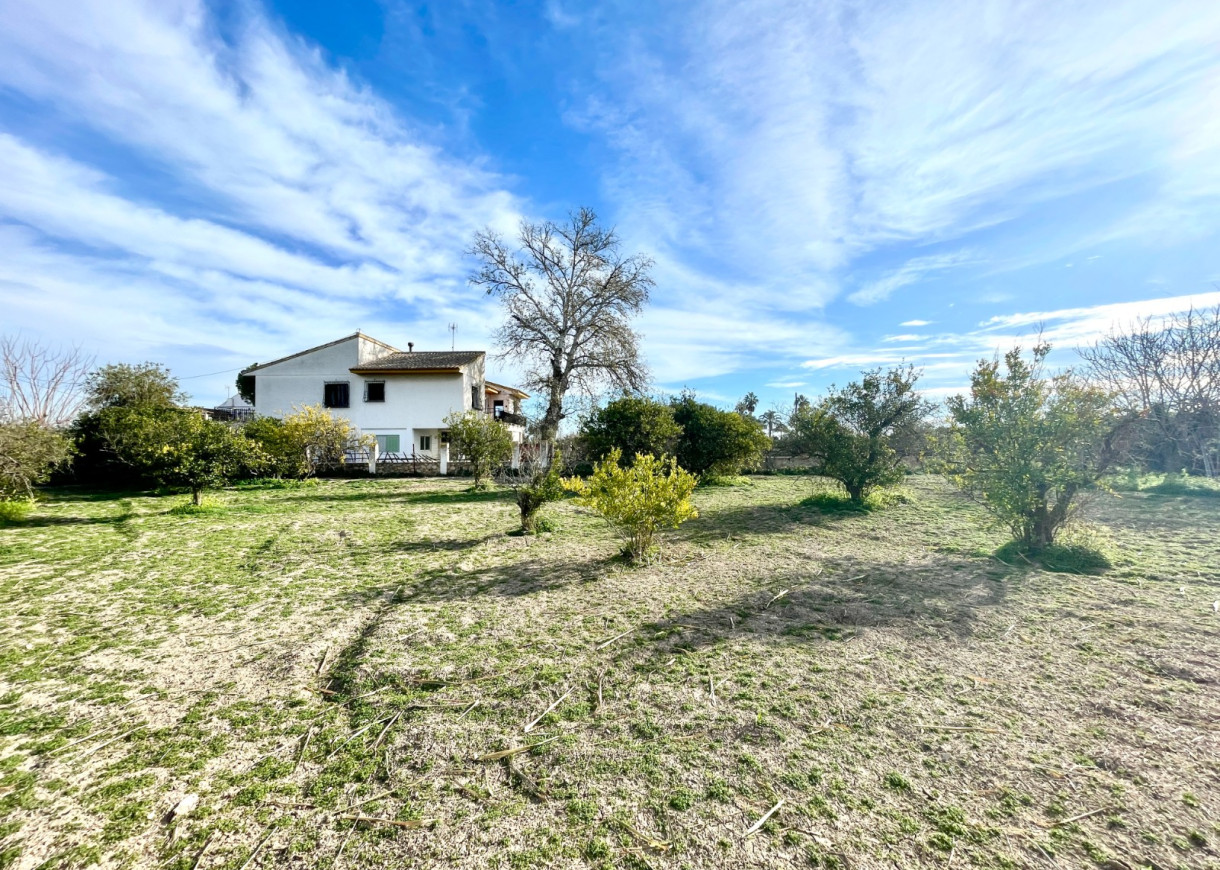 Resale - Villa - Benejuzar - Comunidad Valenciana
