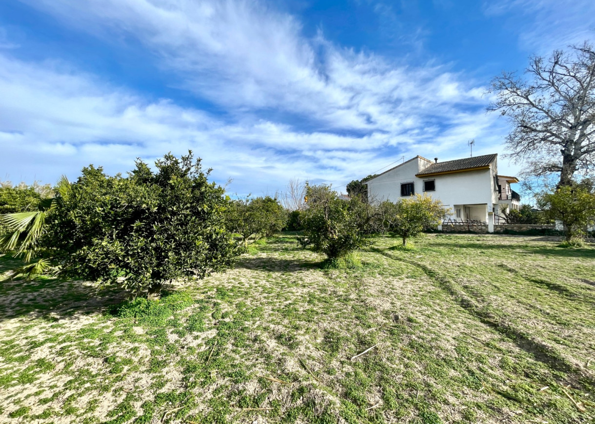 Resale - Villa - Benejuzar - Comunidad Valenciana