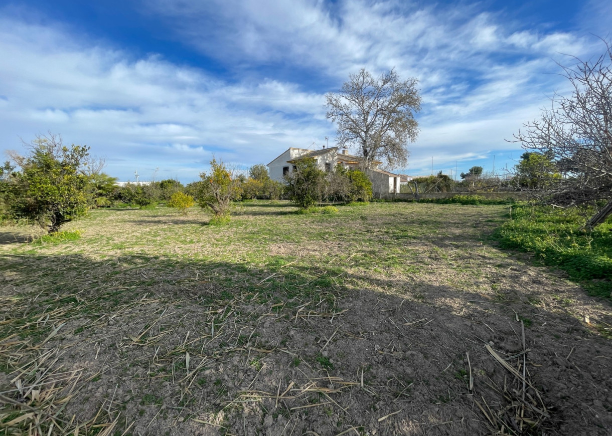 Resale - Villa - Benejuzar - Comunidad Valenciana