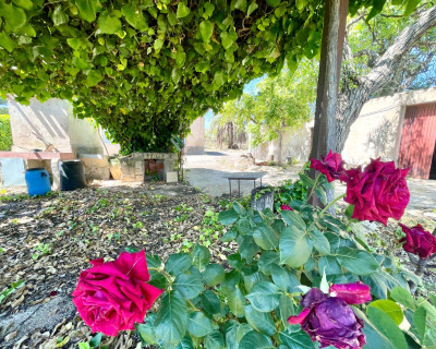 Resale - Villa - La Romana - Villas de la Romana