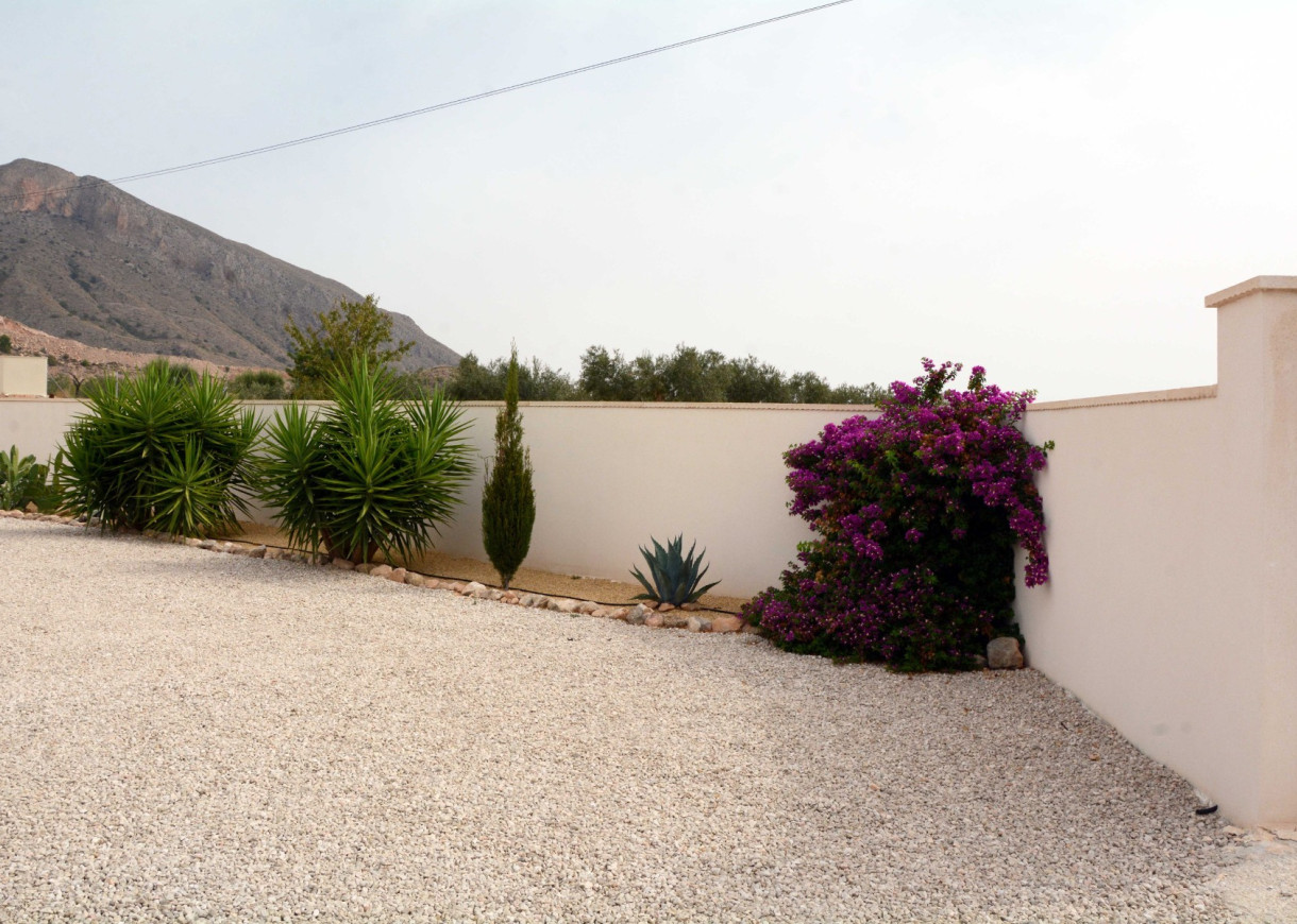 Resale - Finca / Country Property - Macisvenda