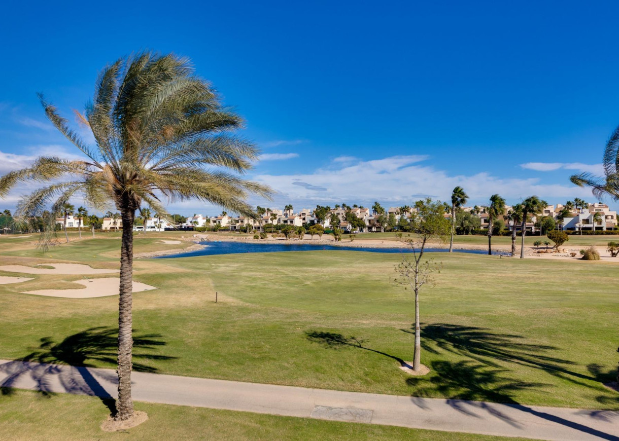 New Build - Villa - Pilar de la Horadada - Lo Romero Golf