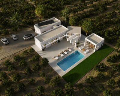 New Build - Villa - Benejúzar - alta