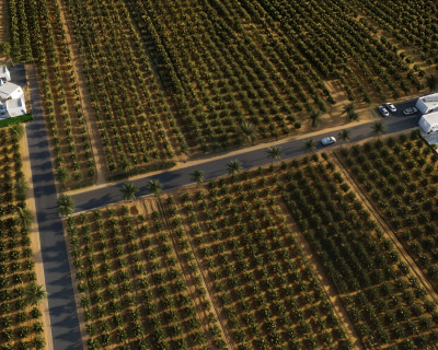 New Build - Villa - Benejúzar - alta