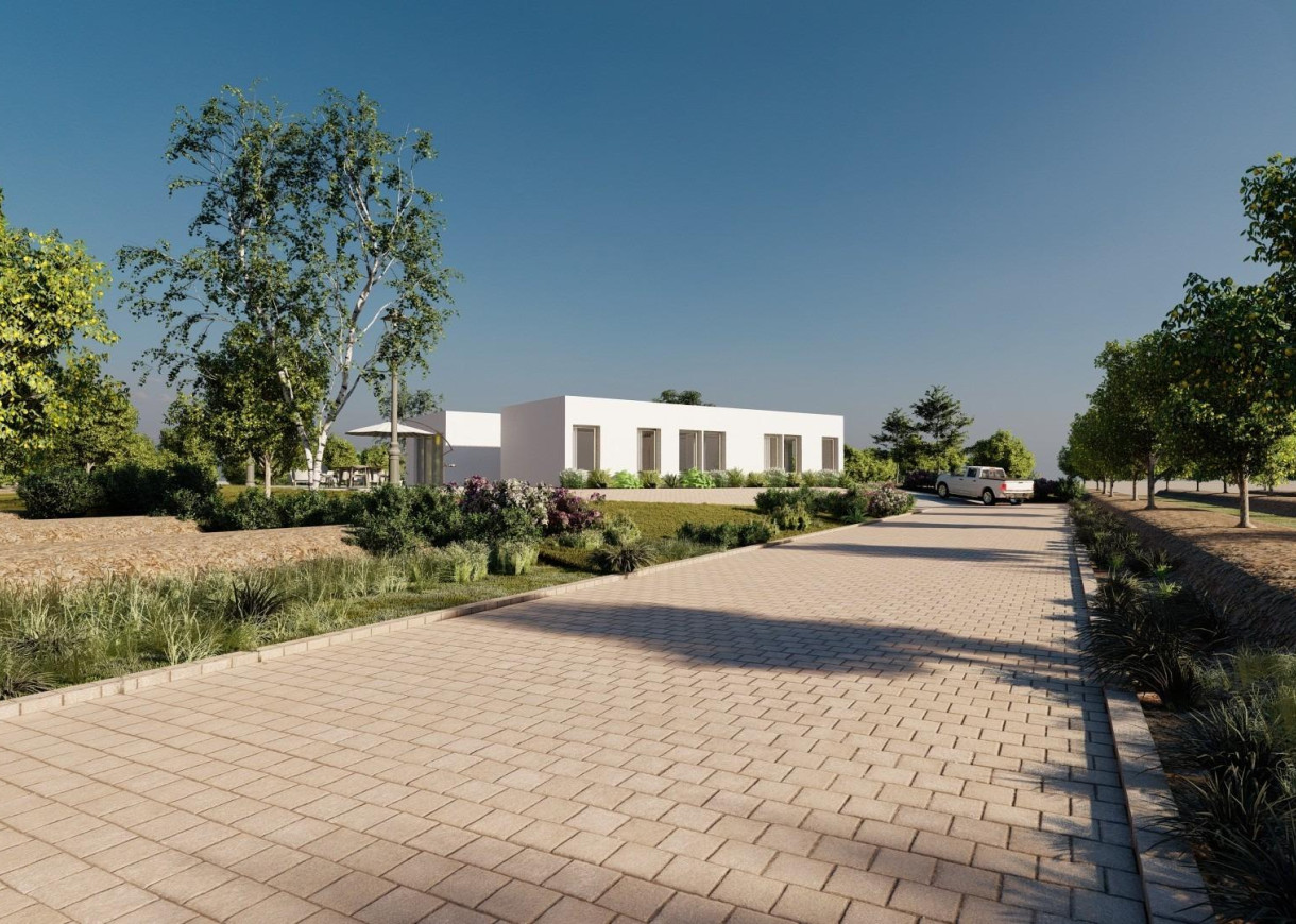 New Build - Villa - Benejúzar - alta