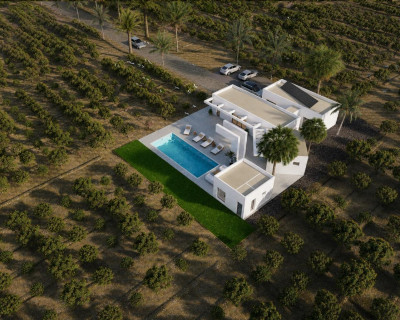 New Build - Villa - Benejúzar - alta