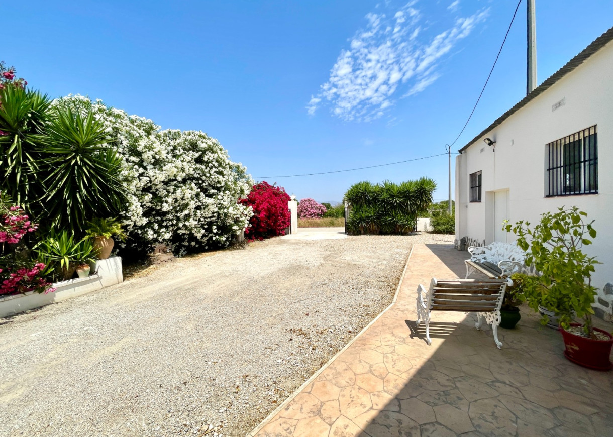 Venta - Chalet - Daya Nueva