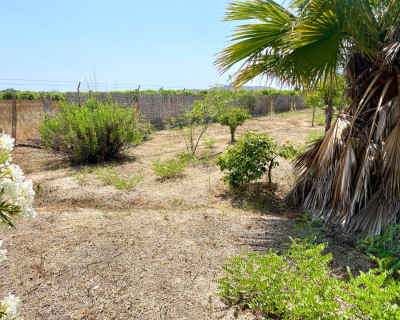 Venta - Chalet - Daya Nueva