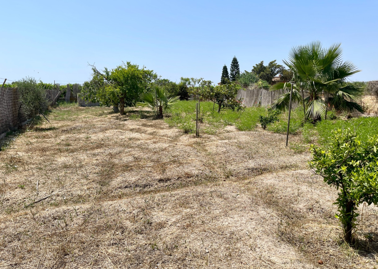 Venta - Chalet - Daya Nueva