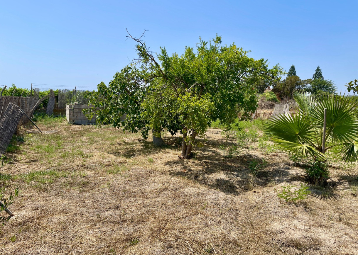 Venta - Chalet - Daya Nueva