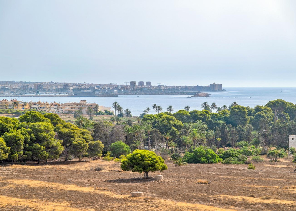 Resale - Apartment - Torrevieja - Punta prima
