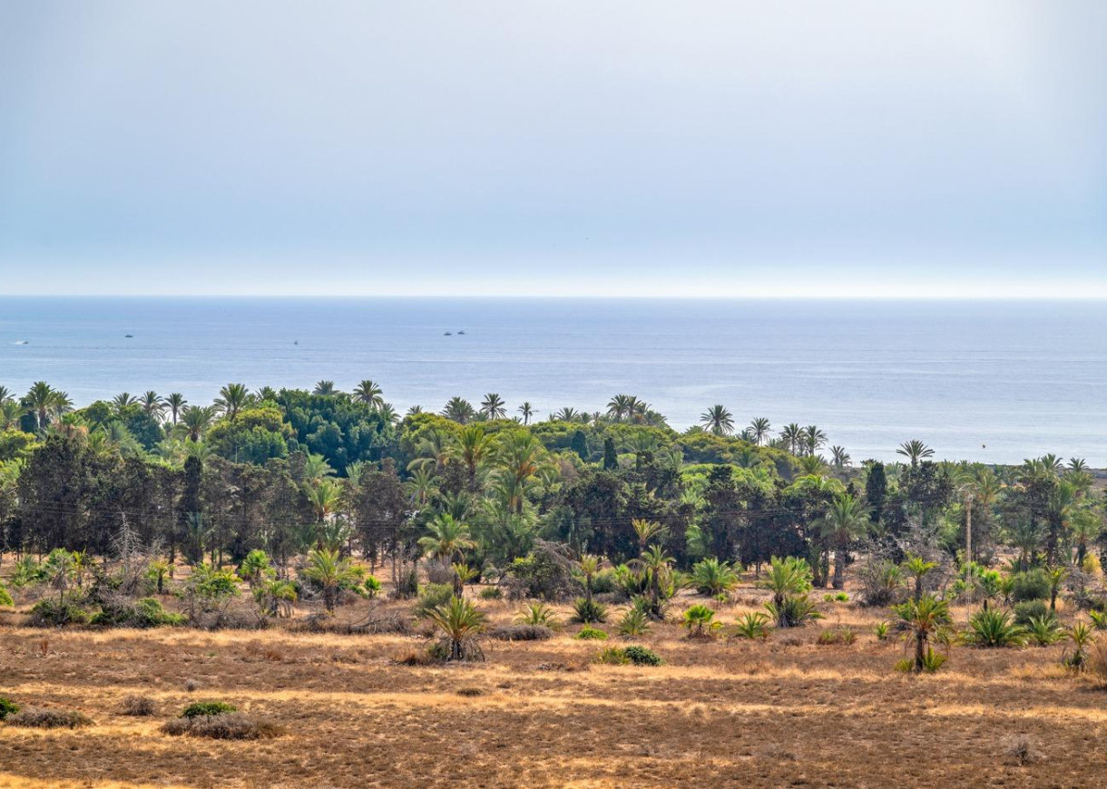 Resale - Apartment - Torrevieja - Punta prima