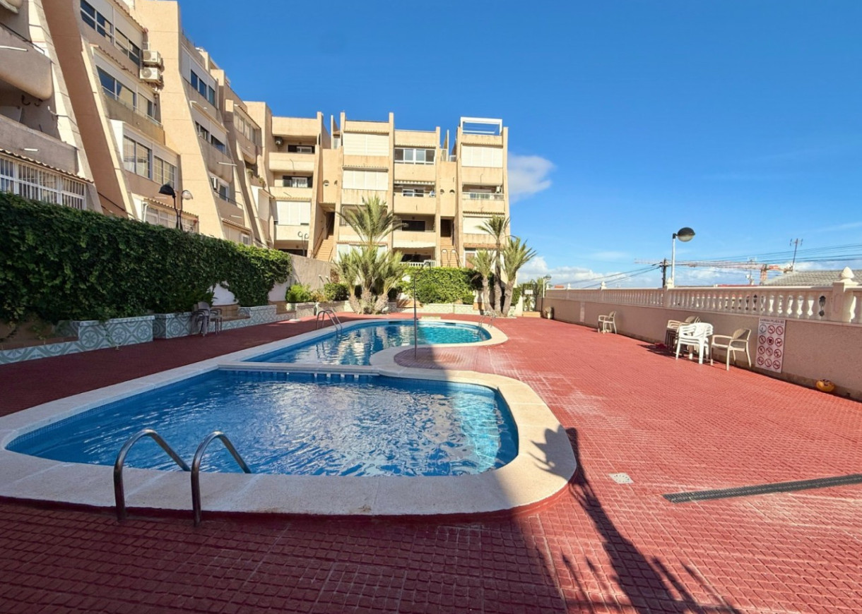 Alquiler a largo plazo - Apartamento - Torrevieja - La Mata