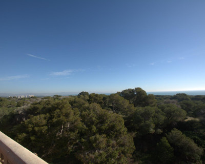 New Build - Apartment - Guardamar del Segura - Pueblo