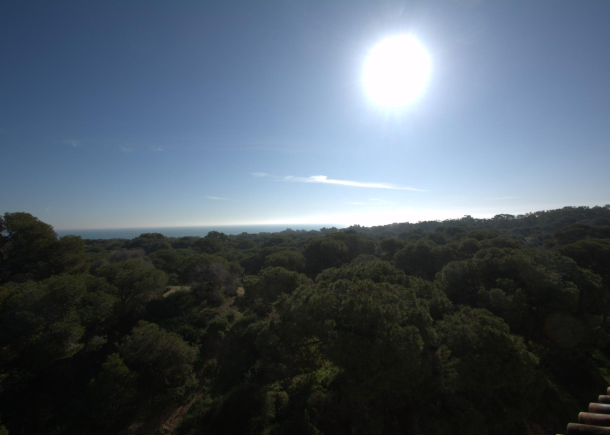 New Build - Penthouse - Guardamar del Segura - Pueblo