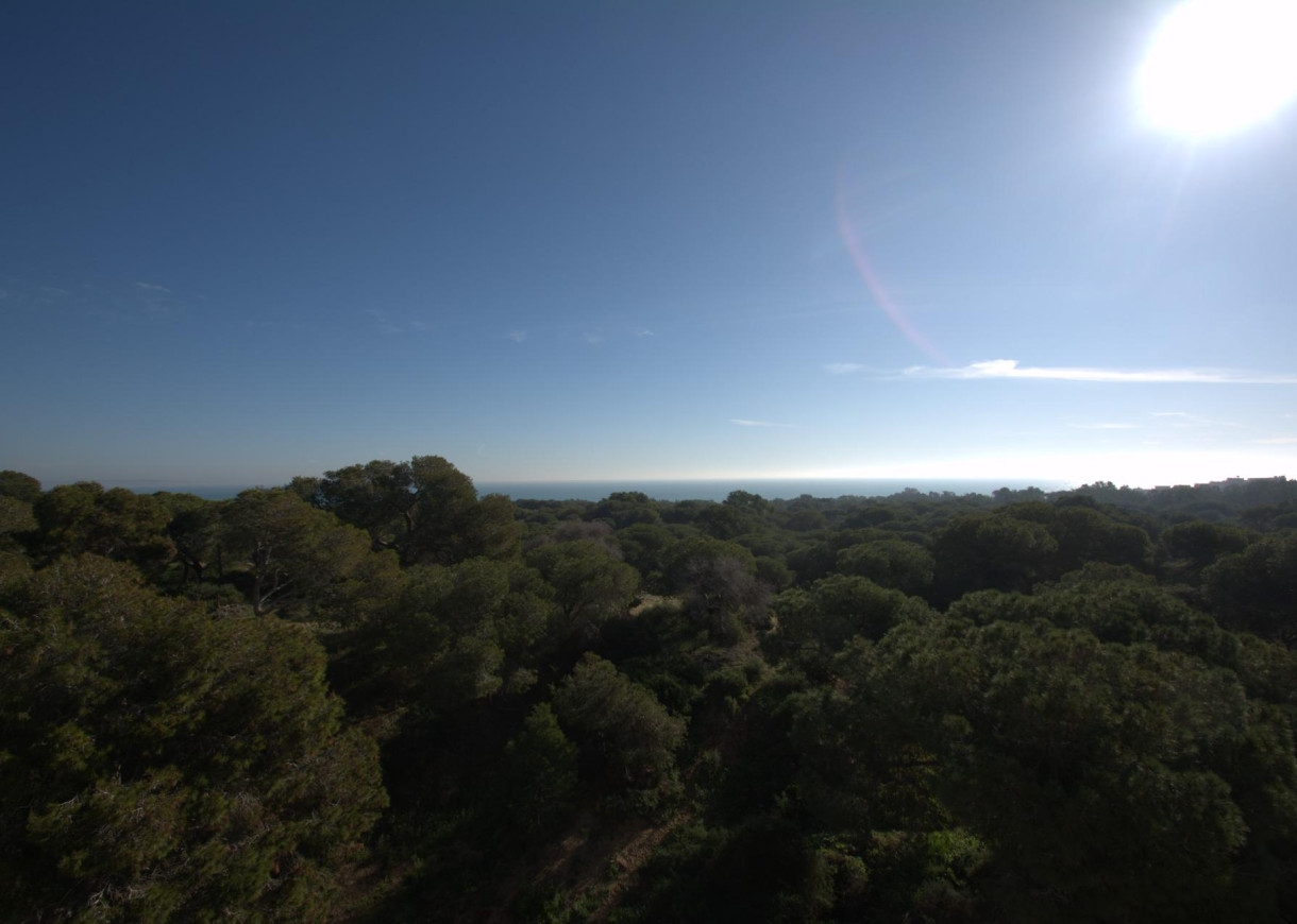 New Build - Penthouse - Guardamar del Segura - Pueblo