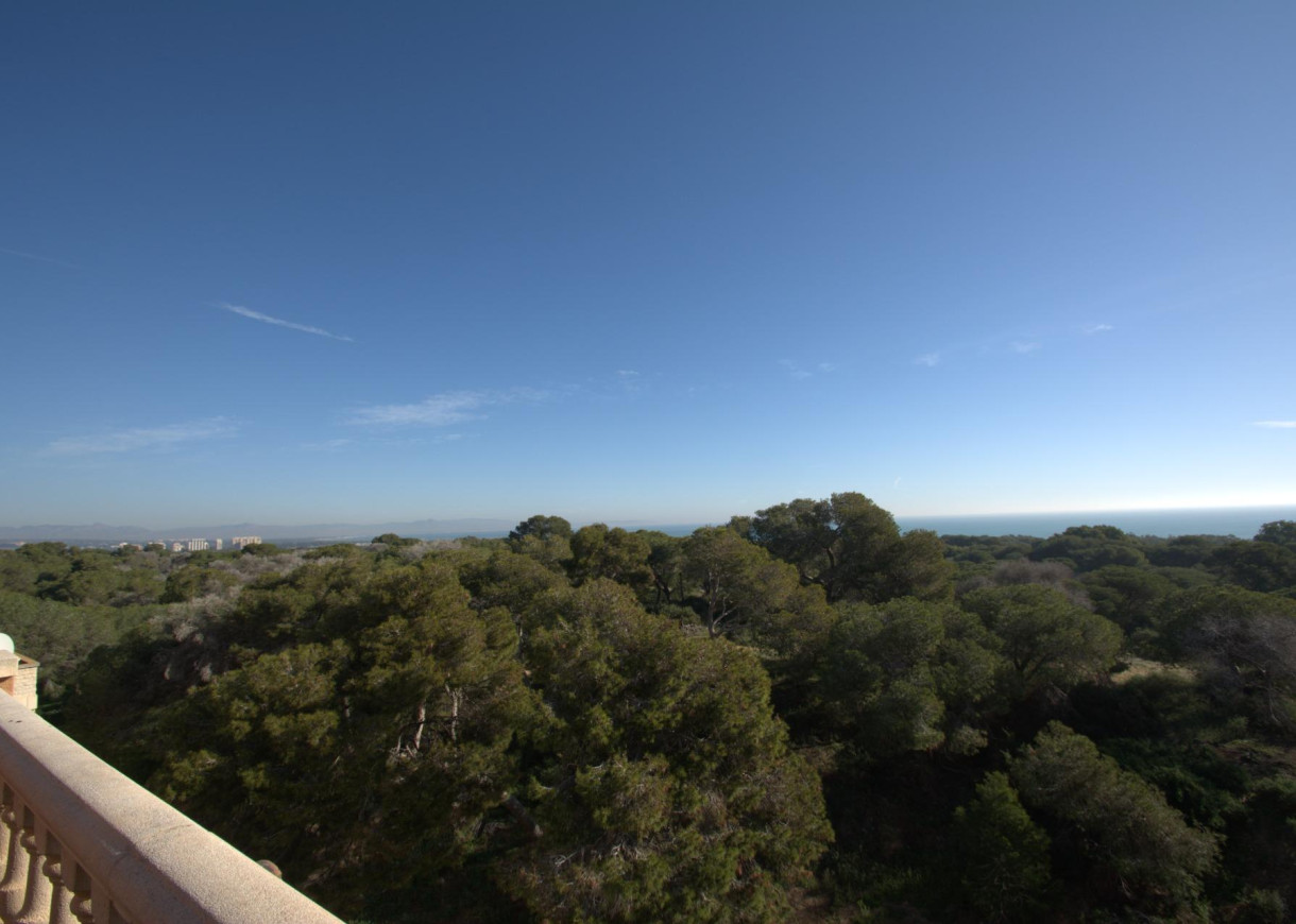 New Build - Penthouse - Guardamar del Segura - Pueblo