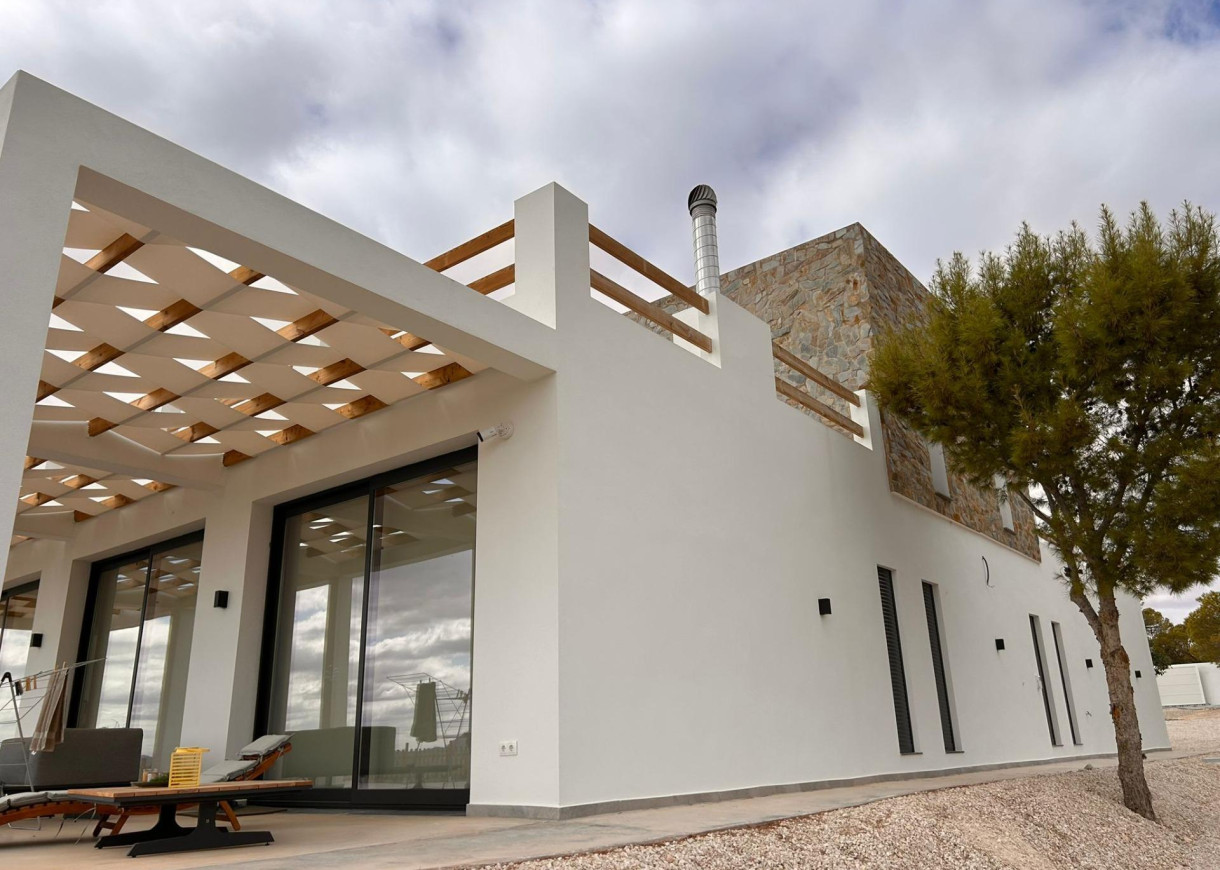 New Build - Villa - Pinoso - Casas Pastor
