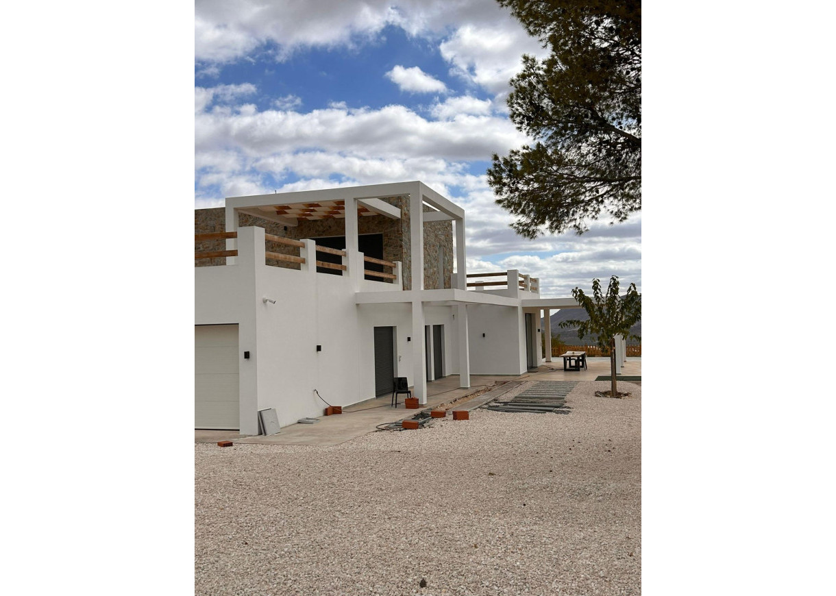 New Build - Villa - Pinoso - Casas Pastor