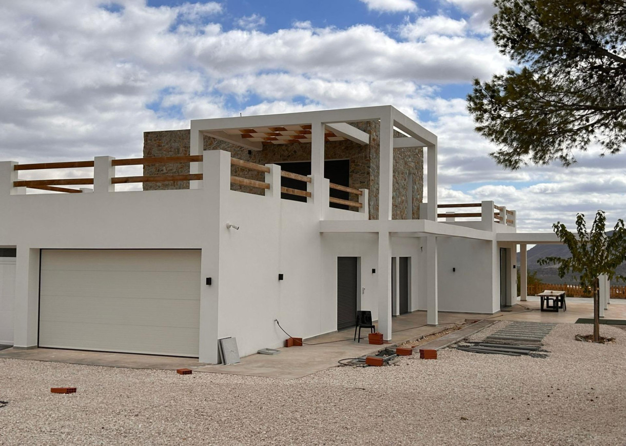 New Build - Villa - Pinoso - Casas Pastor