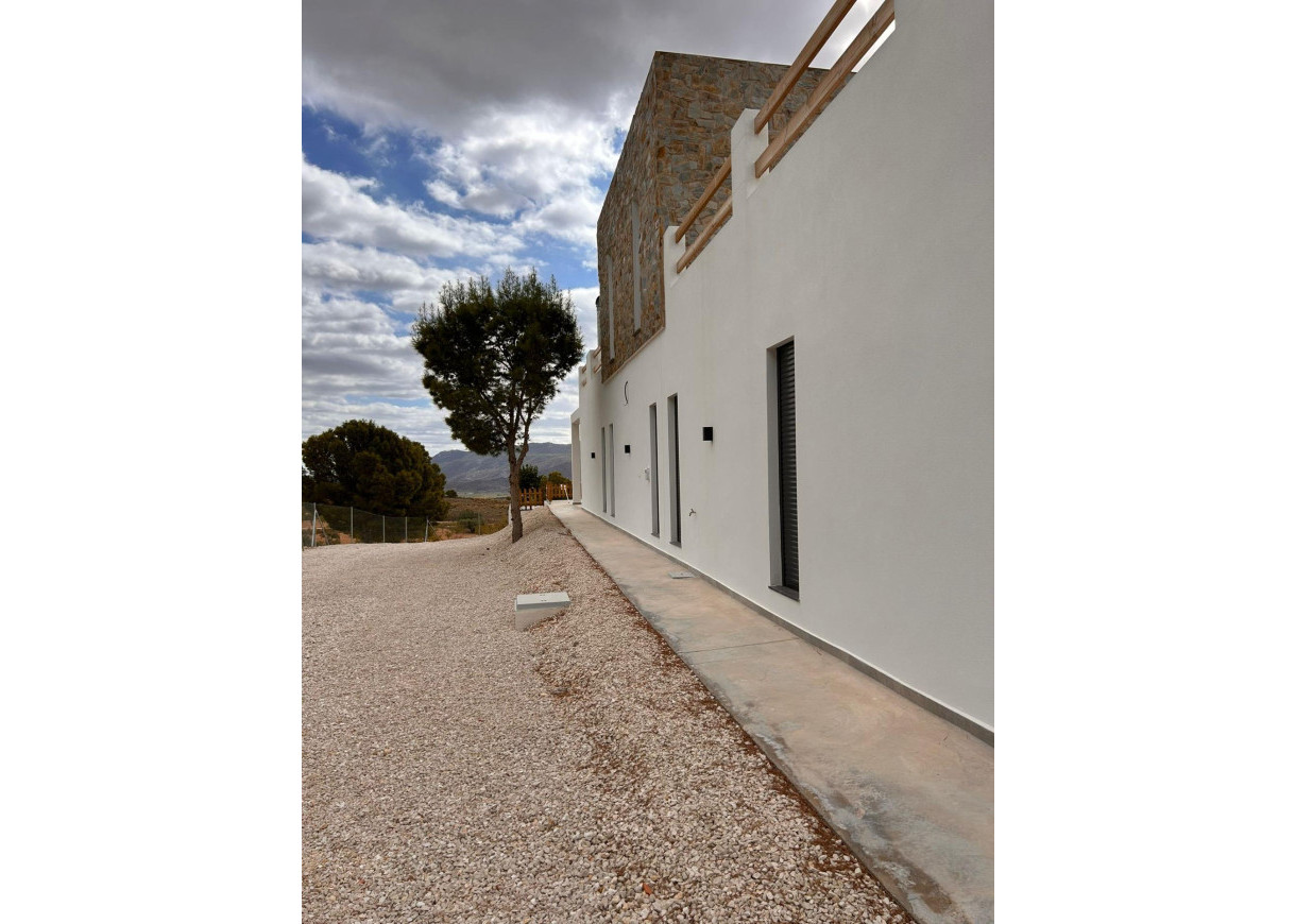 New Build - Villa - Pinoso - Casas Pastor