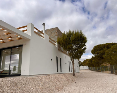 New Build - Villa - Pinoso - Casas Pastor