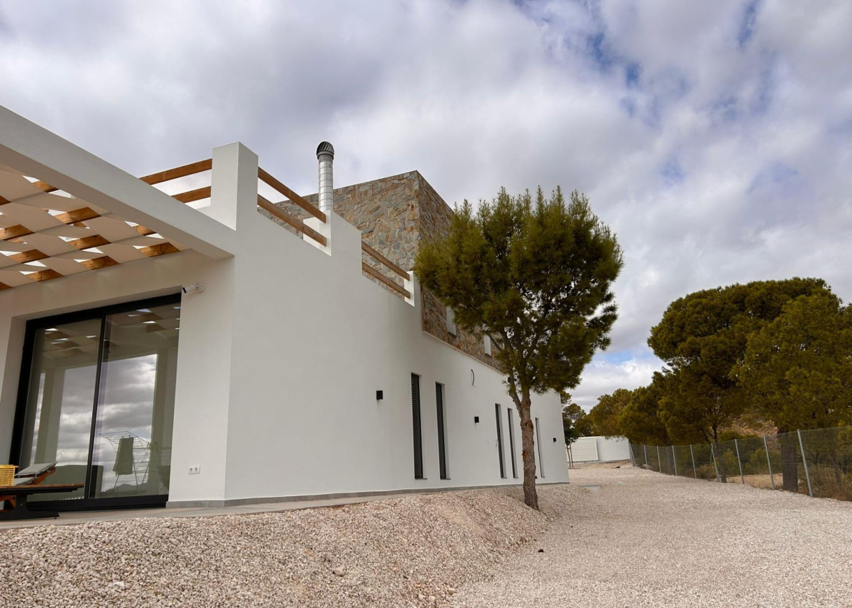 New Build - Villa - Pinoso - Casas Pastor