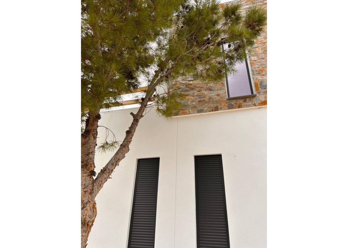 New Build - Villa - Pinoso - Casas Pastor