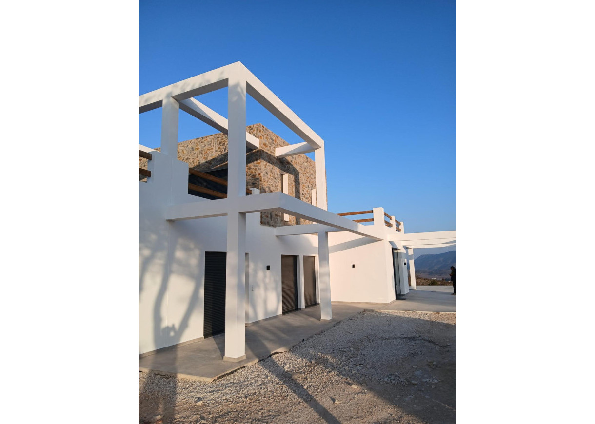 New Build - Villa - Pinoso - Casas Pastor