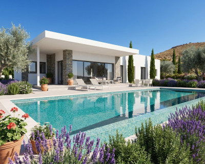 New Build - Villa - Pinoso - Casas Pastor