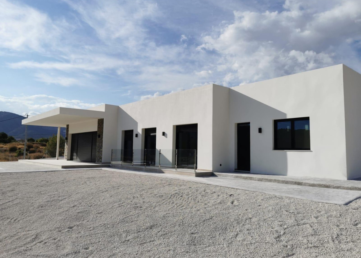 New Build - Villa - Pinoso - Casas Pastor