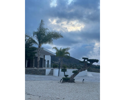 New Build - Villa - Pinoso - Casas Pastor