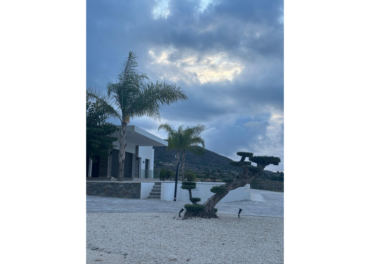 New Build - Villa - Pinoso - Casas Pastor
