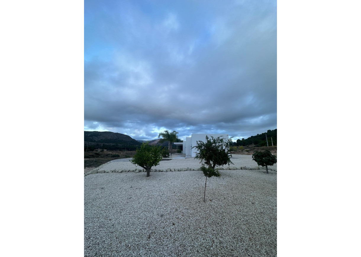 New Build - Villa - Pinoso - Casas Pastor