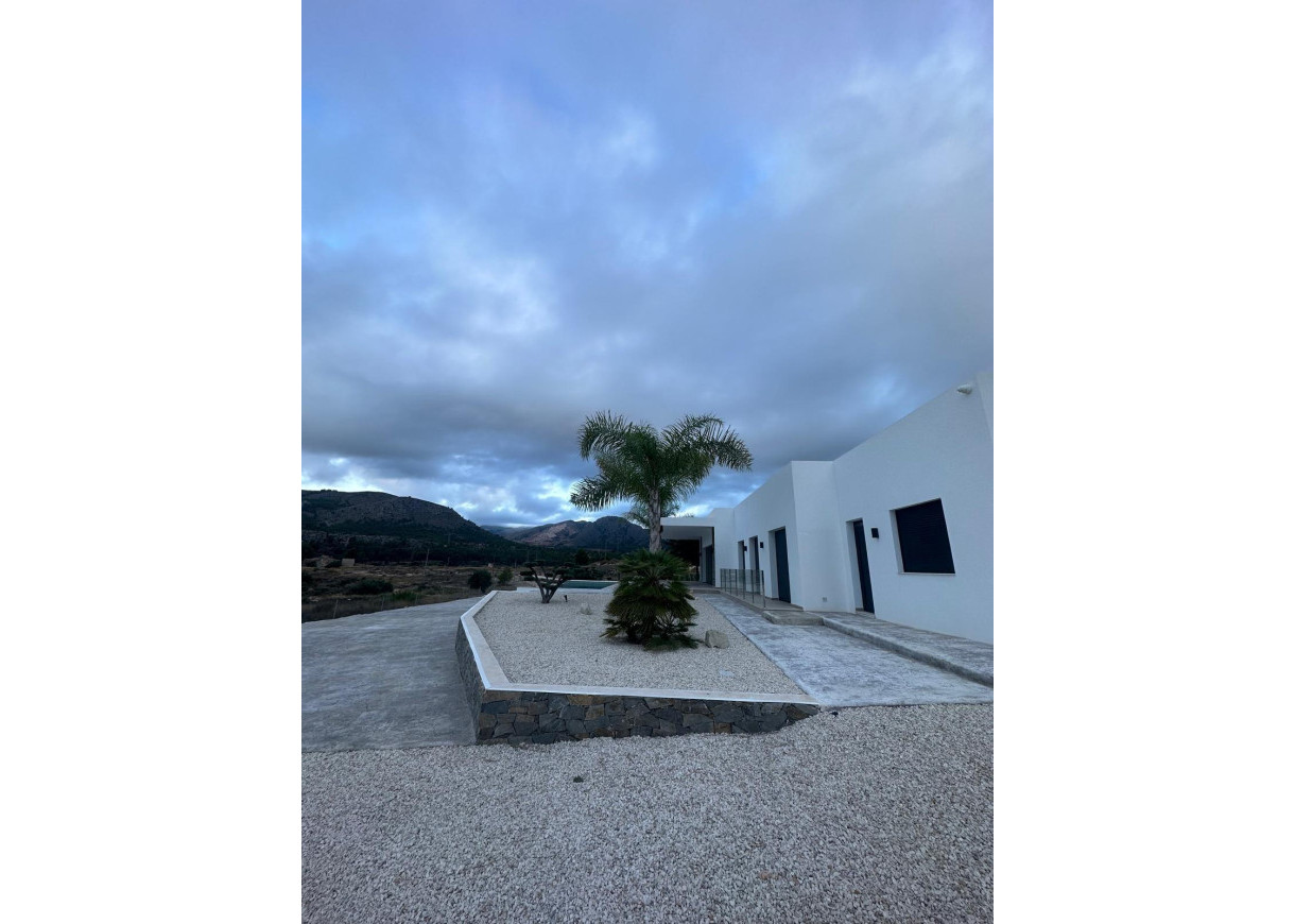 New Build - Villa - Pinoso - Casas Pastor
