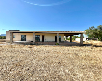 Resale - Finca / Country Property - Elche - Matola