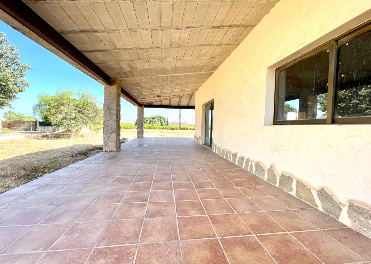Resale - Finca / Country Property - Elche - Matola