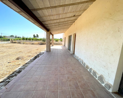Resale - Finca / Country Property - Elche - Matola