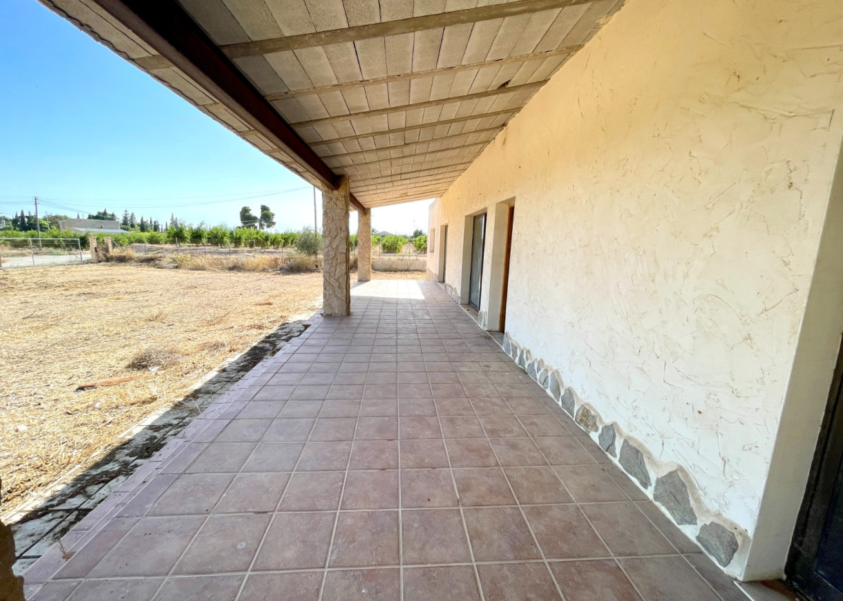 Resale - Finca / Country Property - Elche - Matola