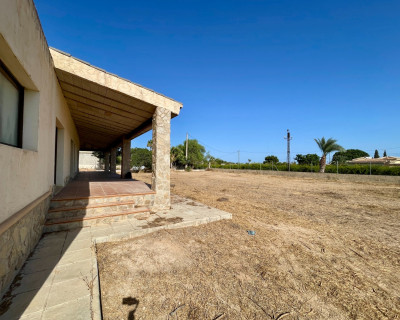 Resale - Finca / Country Property - Elche - Matola