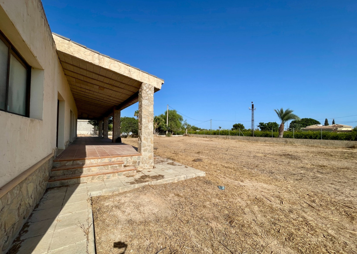 Resale - Finca / Country Property - Elche - Matola
