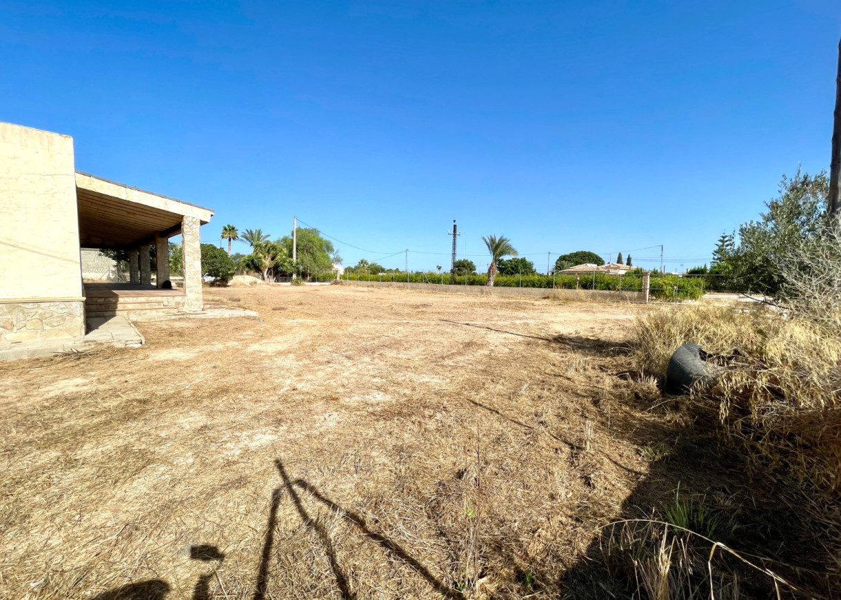 Resale - Finca / Country Property - Elche - Matola