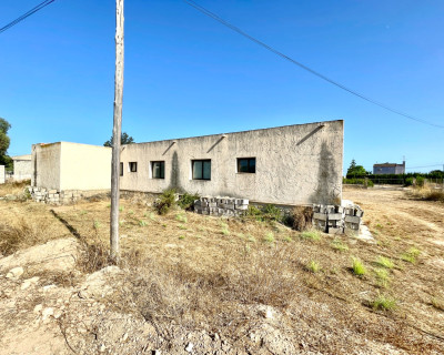 Resale - Finca / Country Property - Elche - Matola